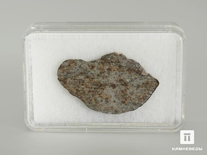 Метеорит Челябинск LL5, пластина 3,6х2,3х0,2 см, 4001, фото 2
