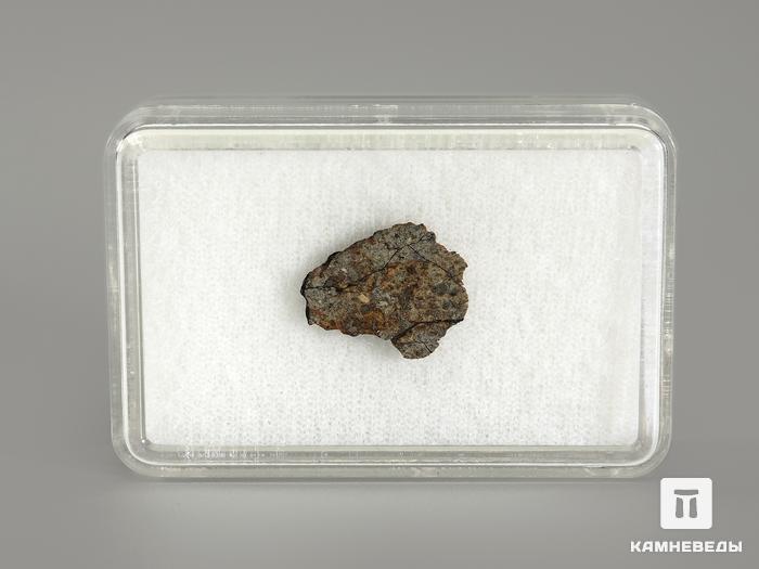 Метеорит Челябинск LL5, 1,7х1,4х0,5 см, 4005, фото 3