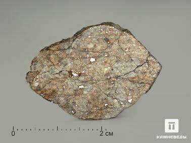 Метеориты. Метеорит Челябинск LL5, пластина 3-3,5 см