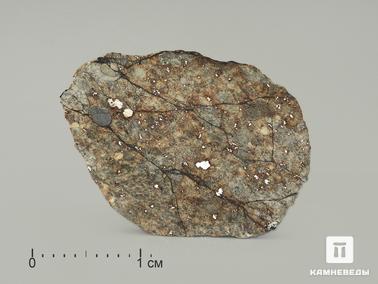 Метеориты. Метеорит Челябинск LL5, пластина 2,5х2 см
