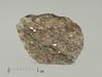 Метеорит Челябинск LL5, пластина 2,5х2 см, 4003, фото 1
