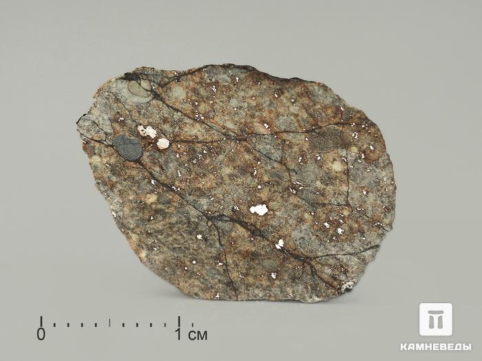 Метеорит Челябинск LL5, пластина 2,5х2 см, 4003, фото 1