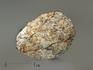 Метеорит Челябинск LL5, пластина 2,1х1,7х0,2 см, 4004, фото 1