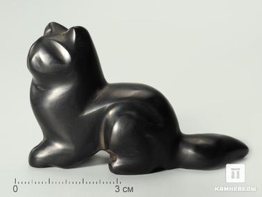 Гагат. Соболь из гагата, 6,9х4,2х2,7 см