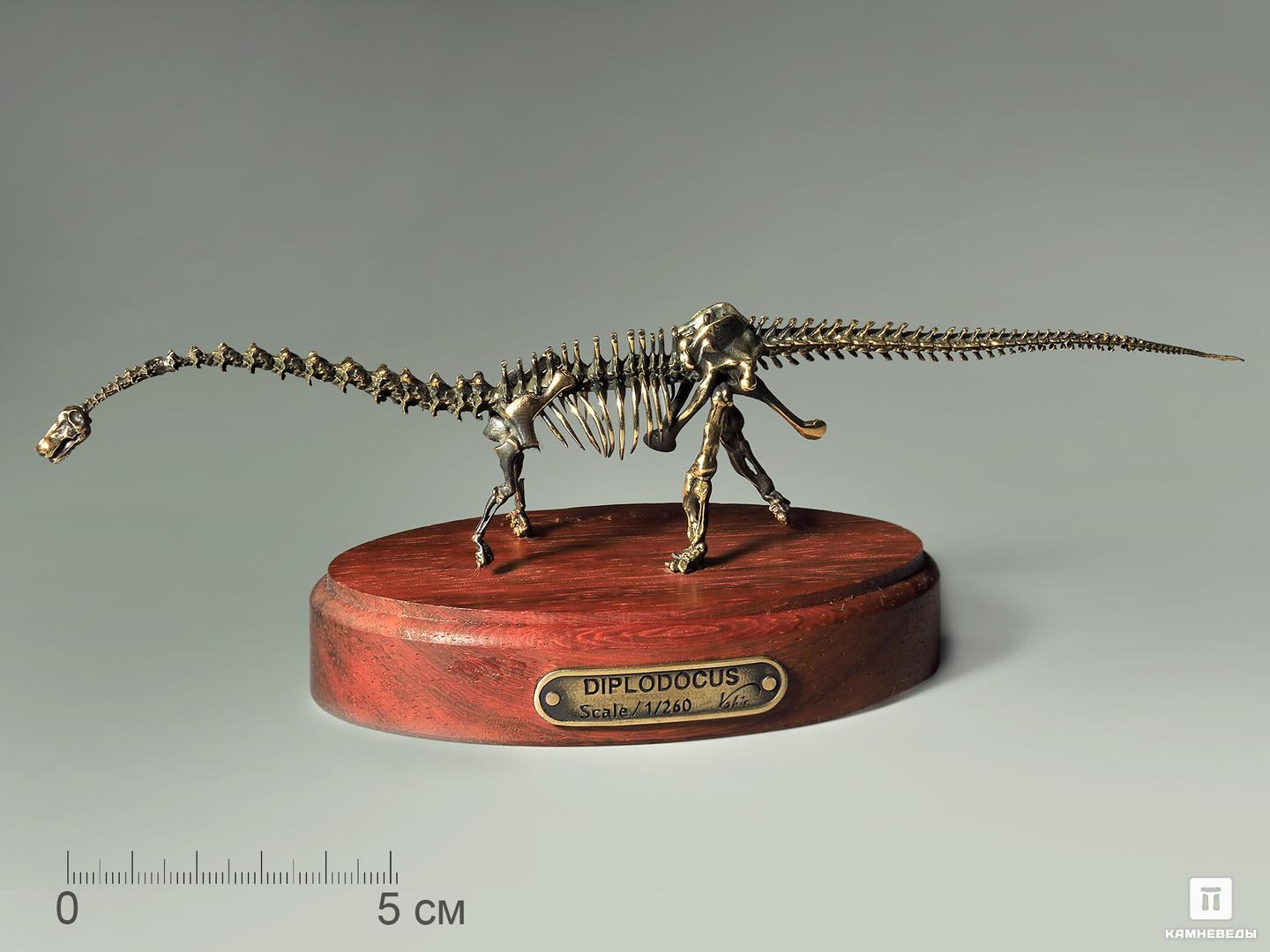 Модель скелета динозавра DIPLODOCUS модель скелета динозавра diplodocus