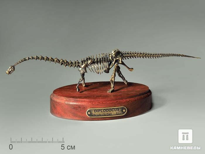 Модель скелета динозавра DIPLODOCUS, 4242, фото 1