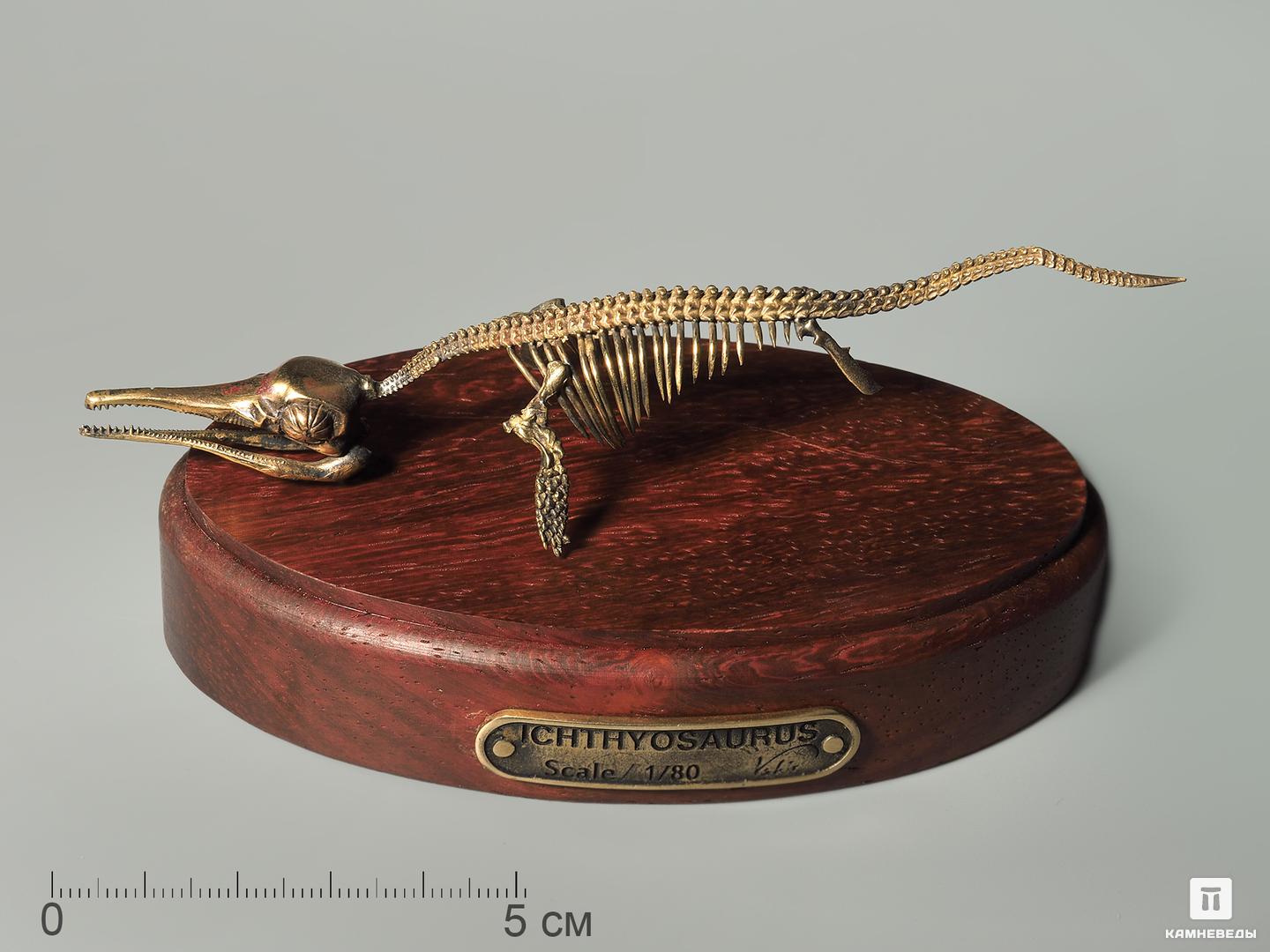Модель скелета ихтиозавра ICHTHYOSAURUS неизвестные работы известных художников