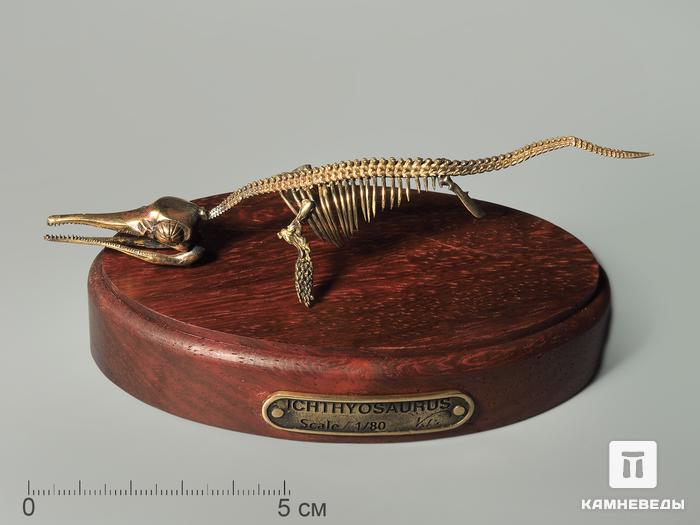 Модель скелета ихтиозавра ICHTHYOSAURUS, 4240, фото 1