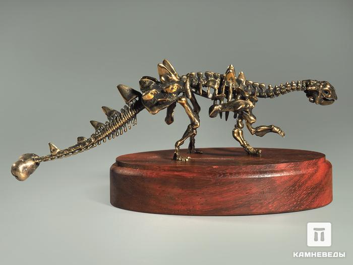 Модель скелета динозавра ANKYIOSAURUS, 4248, фото 4