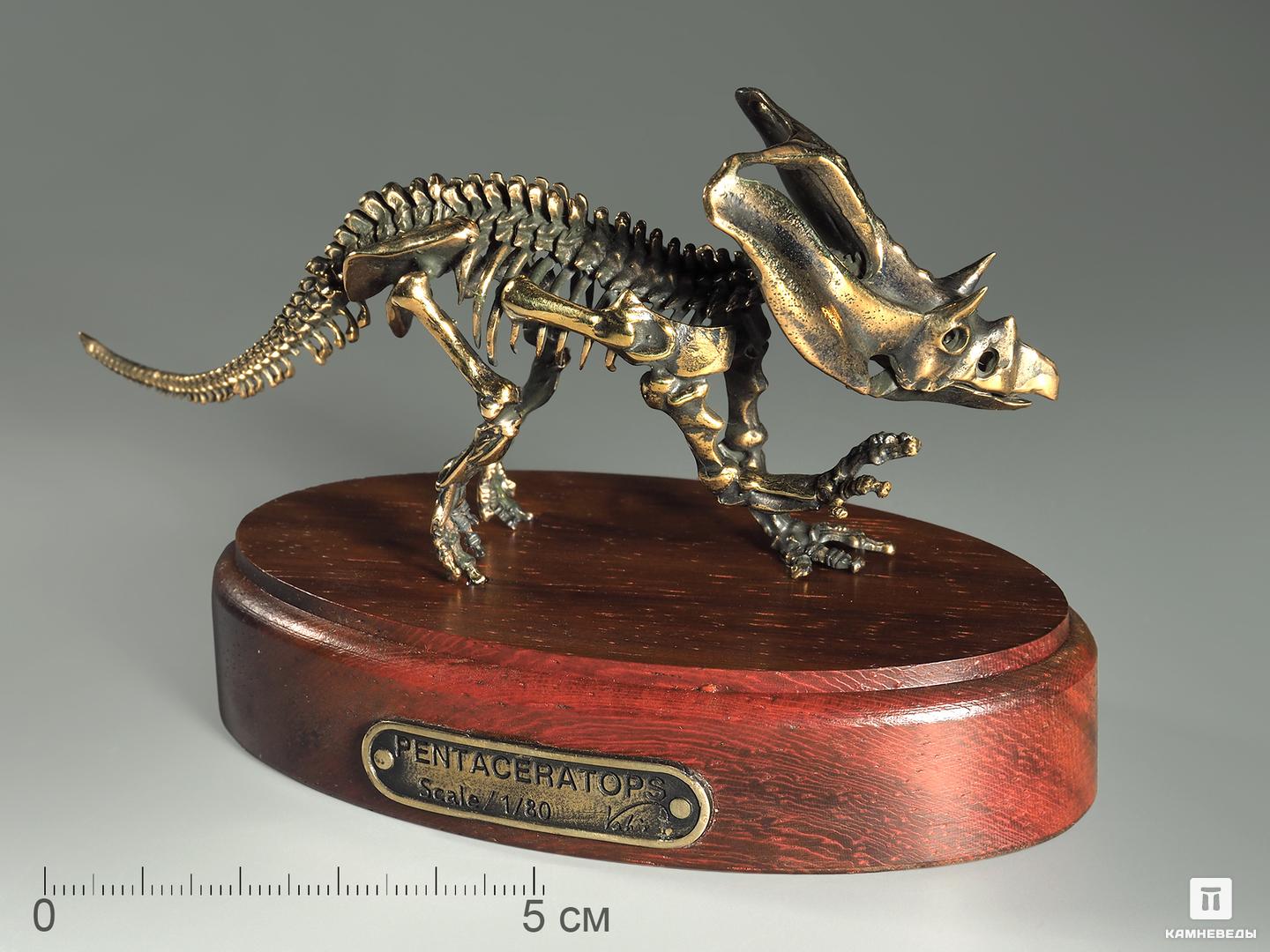 Модель скелета динозавра PENTACERATOPS