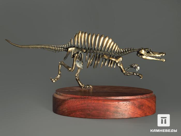Модель скелета динозавра SPINOSAURUS, 4254, фото 3
