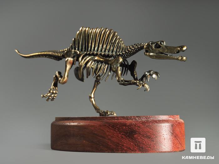 Модель скелета динозавра SPINOSAURUS, 4254, фото 4