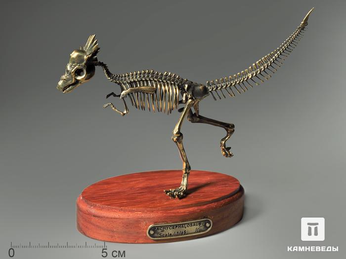 Модель скелета динозавра PACHYCEPHALOSAURUS, 4255, фото 1