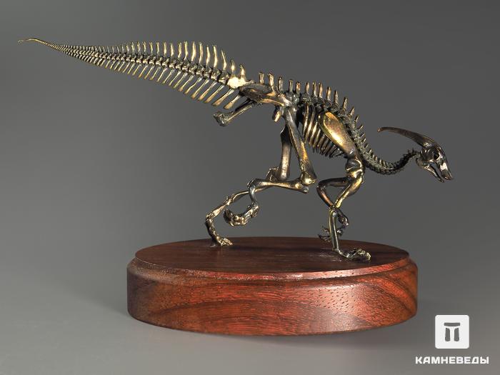 Модель скелета динозавра PARASAUROLOPHUS, 4256, фото 3