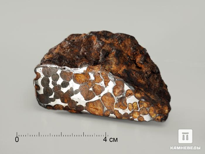 Метеорит Sericho, 6,8х3,6х2,6 см, 4252, фото 3