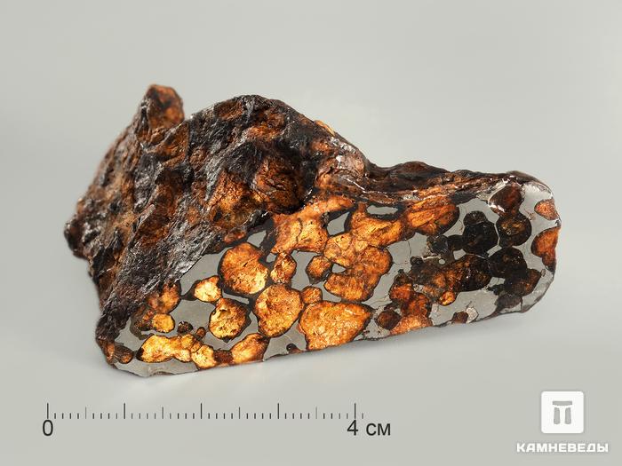 Метеорит Sericho, 6,7х4,1х3,6 см, 4251, фото 1
