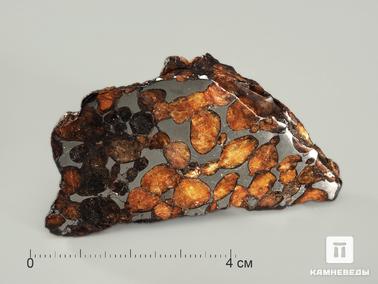 Метеориты. Метеорит Sericho, 6,6х3,5х1,6 см