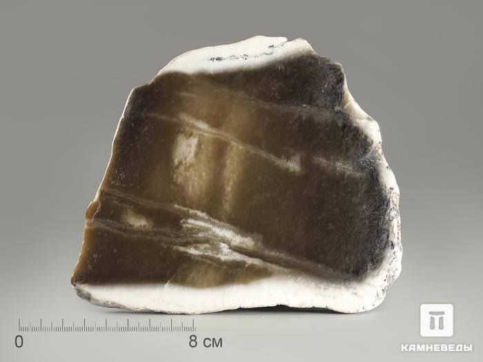 Нефрит коричневый, полированный срез 15-16 см, 4387, фото 3
