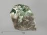 Нефрит, полированный срез 12х9,5 см, 4389, фото 1