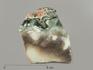 Нефрит, полированный срез 13,5х10,5 см, 4388, фото 1