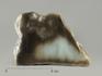Нефрит, полированный срез 13х9,5 см, 4390, фото 1
