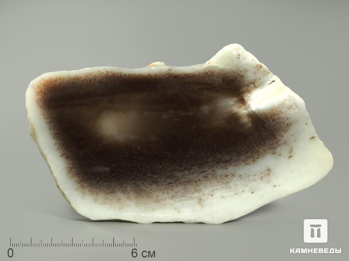 Нефрит моховой, полированный срез 13-14 см, 4382, фото 4