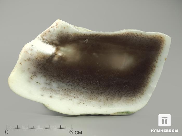 Нефрит моховой, полированный срез 13-14 см, 4382, фото 1