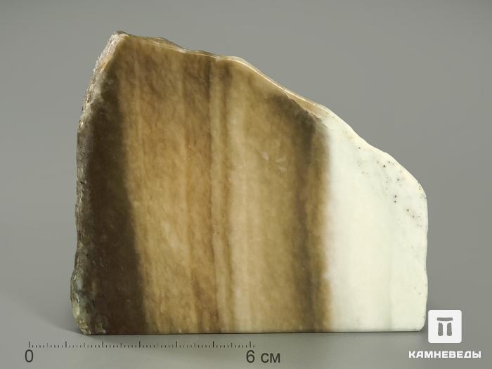 Нефрит, полированный срез 9х8 см, 4403, фото 4