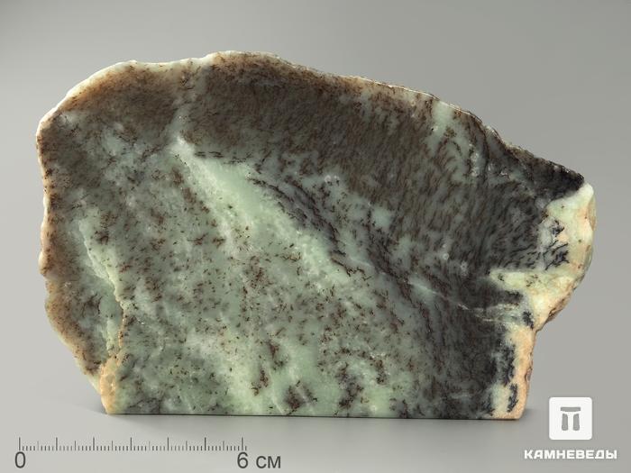 Нефрит моховой, полированный срез 15х10,2х1,6 см, 4406, фото 1