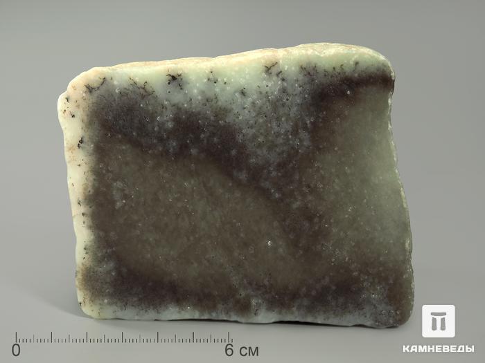 Нефрит моховой, полированный срез 9,8х8,3х1,3 см, 4394, фото 1