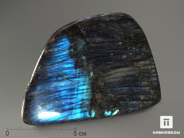 Лабрадор, полировка 8-10,5 см (590-610 г), 12-132/24, фото 2