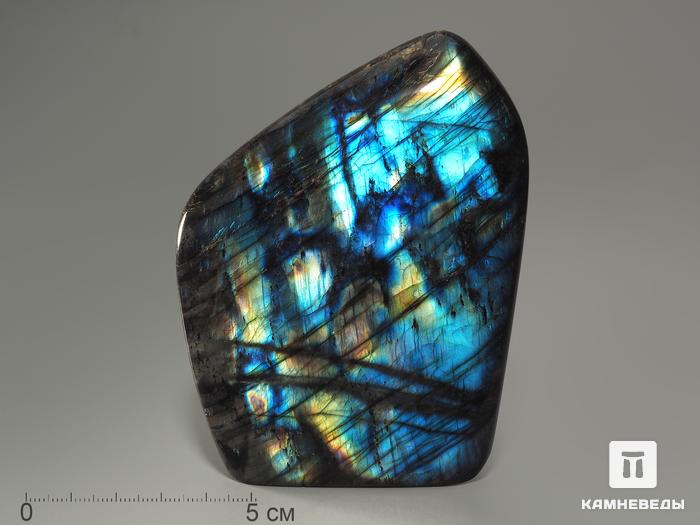 Лабрадор, полировка 8-10,5 см (590-610 г), 12-132/24, фото 4