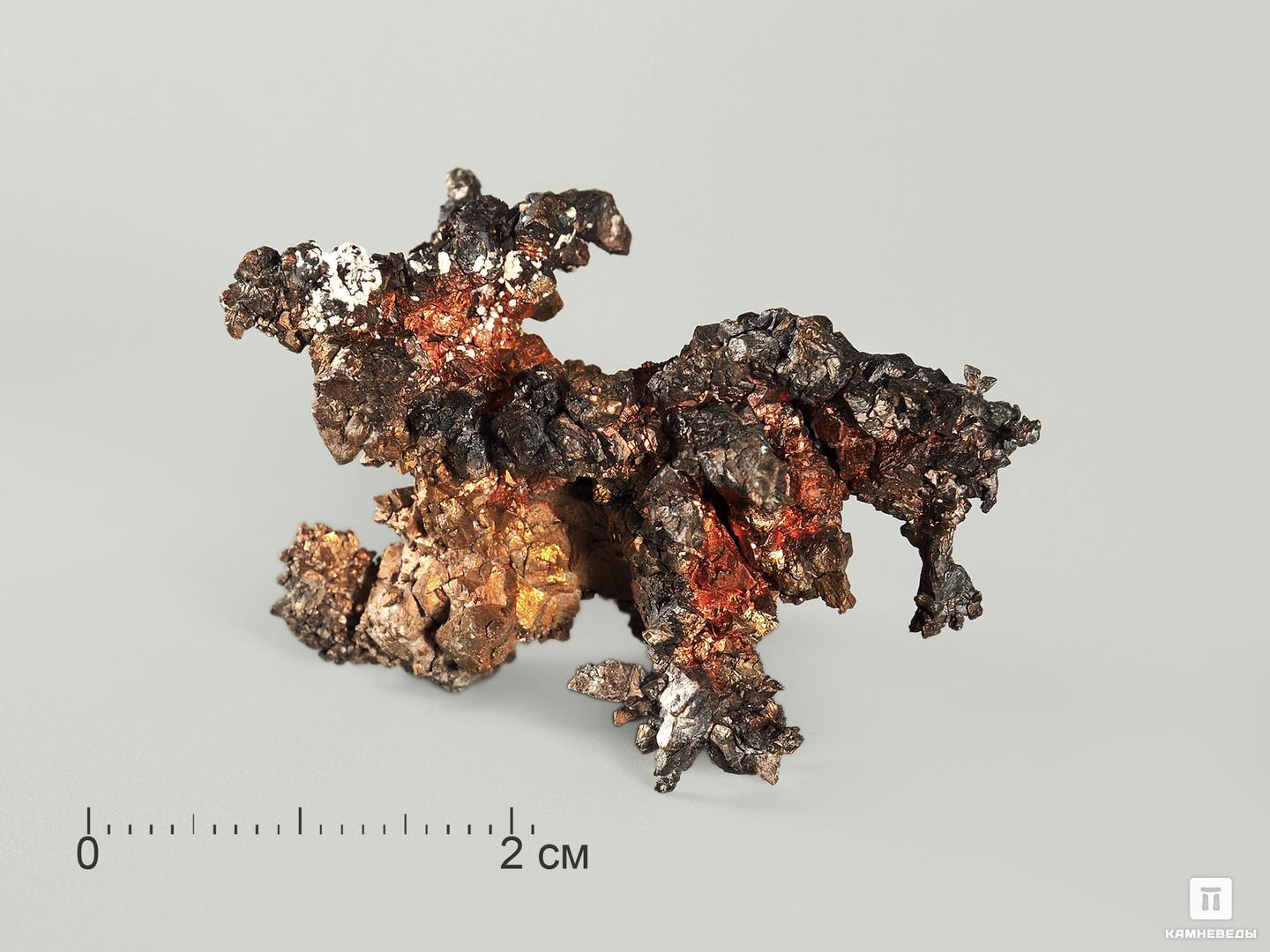 Медь самородная в пластиковом боксе, 2,5-3,5 см лихо медь и мёд