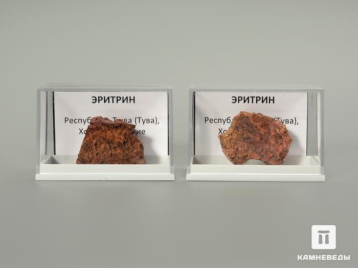 Эритрин в пластиковом боксе, 2,5-3,5 см, 4583, фото 2