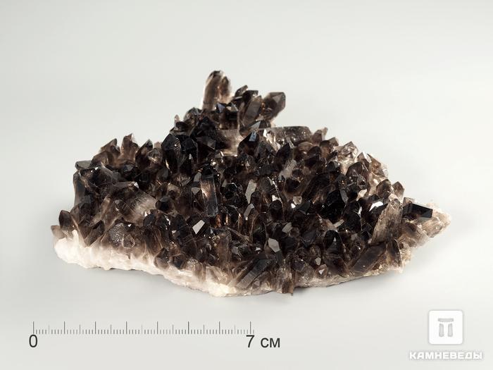 Раухтопаз (дымчатый кварц), друза 13х11,2х2,6 см, 4744, фото 1