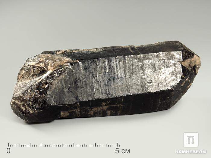 Раухтопаз (дымчатый кварц), кристалл 8,8х3,3х2,8 см, 4708, фото 1