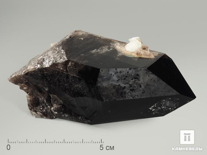 Раухтопаз (дымчатый кварц), кристалл 9,9х6х3,6 см, 4725, фото 1