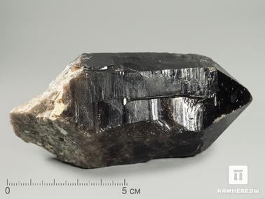 Морион (чёрный кварц). Морион, кристалл 10,8х4,8х4,4 см