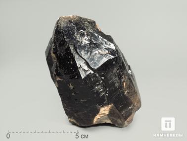 Морион (чёрный кварц). Морион, кристалл 11х6,4х6 см