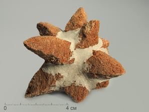 Глендонит (беломорская рогулька), 7,7х4х3,1 см