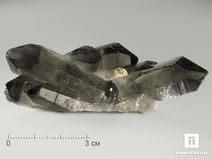 Раухтопаз (дымчатый кварц), друза 4,5-7 см, 4849, фото 3