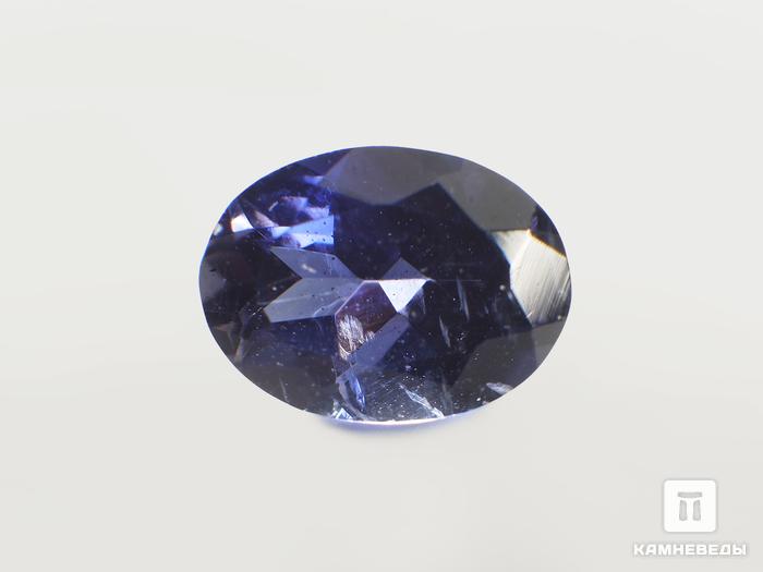 Кордиерит (иолит), огранка 7х5х3,5 мм (0,75 ct), 4833, фото 2