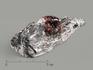 Альмандин (гранат) в метаморфическом сланце, 3,5-5,5 см, 4807, фото 1