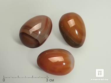 Сердолик. Яйцо из сердолика, 2,5х1,8 см