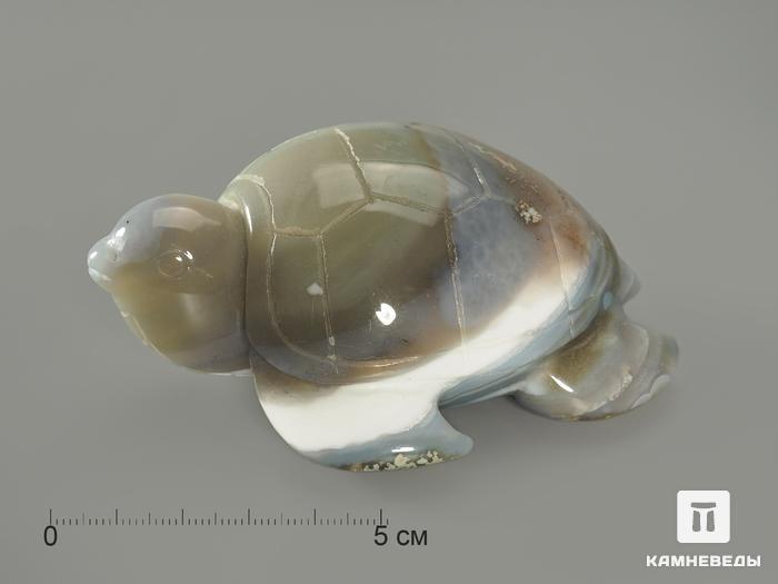 Черепаха из агата, 9,5х7,6х4,3 см, 4992, фото 1
