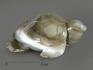 Черепаха из агата, 9,5х7,6х4,3 см, 4992, фото 3
