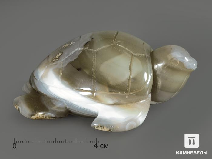 Черепаха из агата, 9,5х7,6х4,3 см, 4992, фото 3