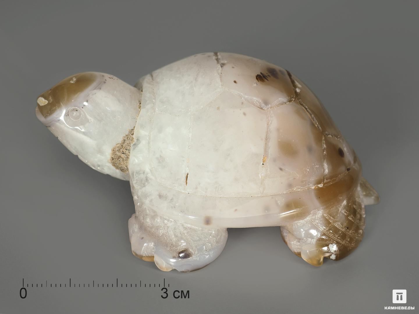 Черепаха из агата, 8,3х6,4х3,8 см, 4996, фото 2