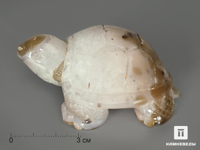 Черепаха из агата, 8,3х6,4х3,8 см, 4996, фото 2