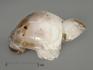Черепаха из агата, 8,3х6,4х3,8 см, 4996, фото 1